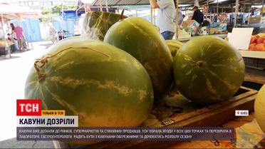 Новости Украины: первые украинские арбузы созрели - где найти без нитратов и сколько они стоят