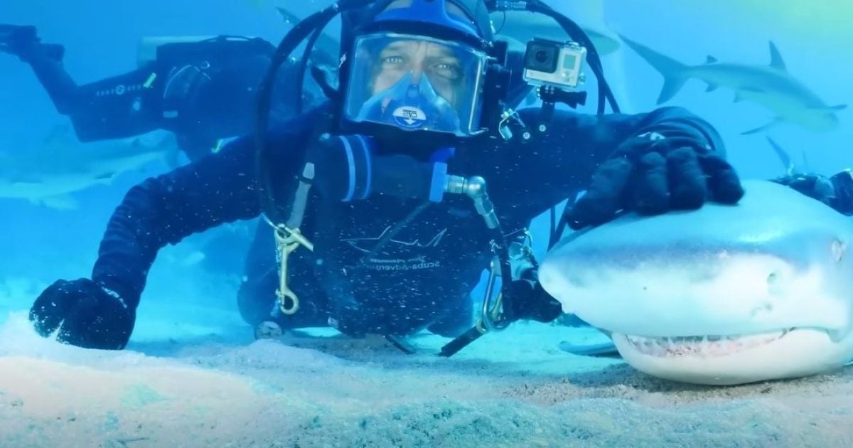 A scuba diver befriends a 4.5meter shark an incredible friendship