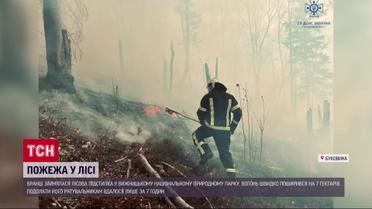 Карпати горять - масштабна пожежа в лісі на Буковині