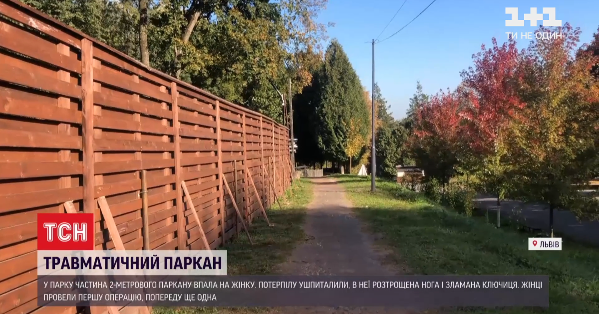 У Львові 2-метрова секція паркану парку розваг привалила 61-річну жінку