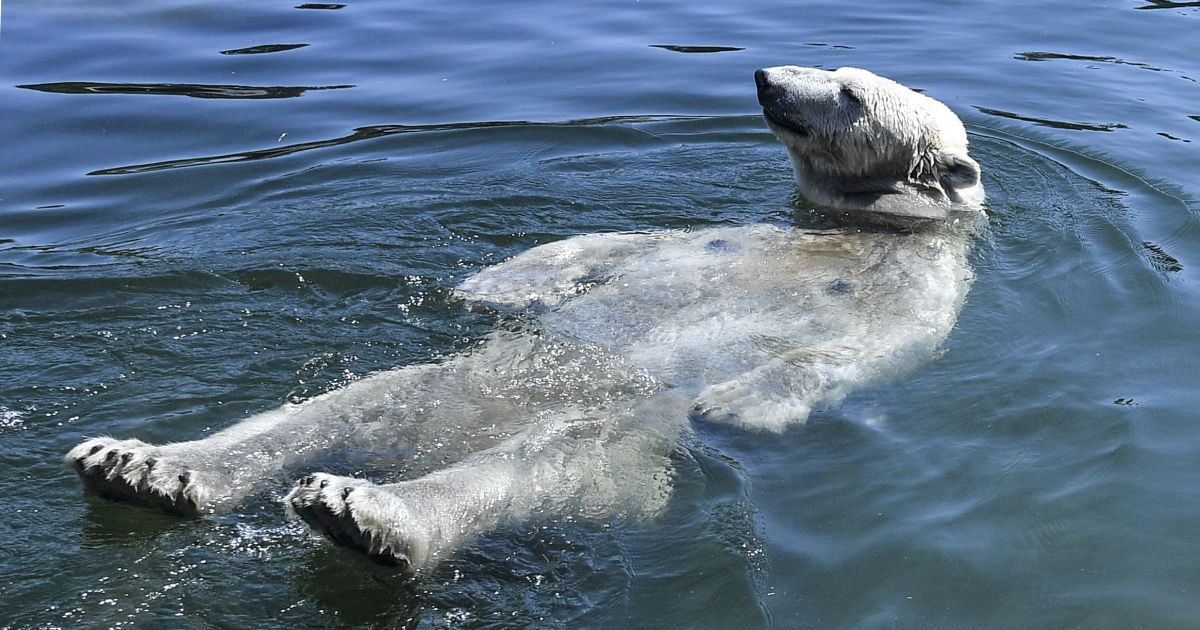 Самые жаркие уголки планеты. Где в мире температура побила рекорды и почему Украине повезло – инфографика