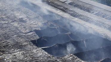 Пожежа у таборі біженців у Дюссельдорфі_7 / © Reuters