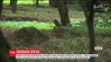 В Виннице разыскивают обезьяну, которая сбежала из мини-зоопарка