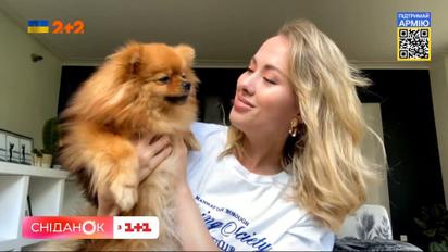 Як українці разом зі своїми чотирилапими друзями живуть за кордоном