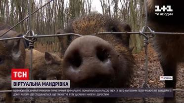 Волинські лісівники проклали туристичний 3D маршрут в ботанічний заказник | Новини України