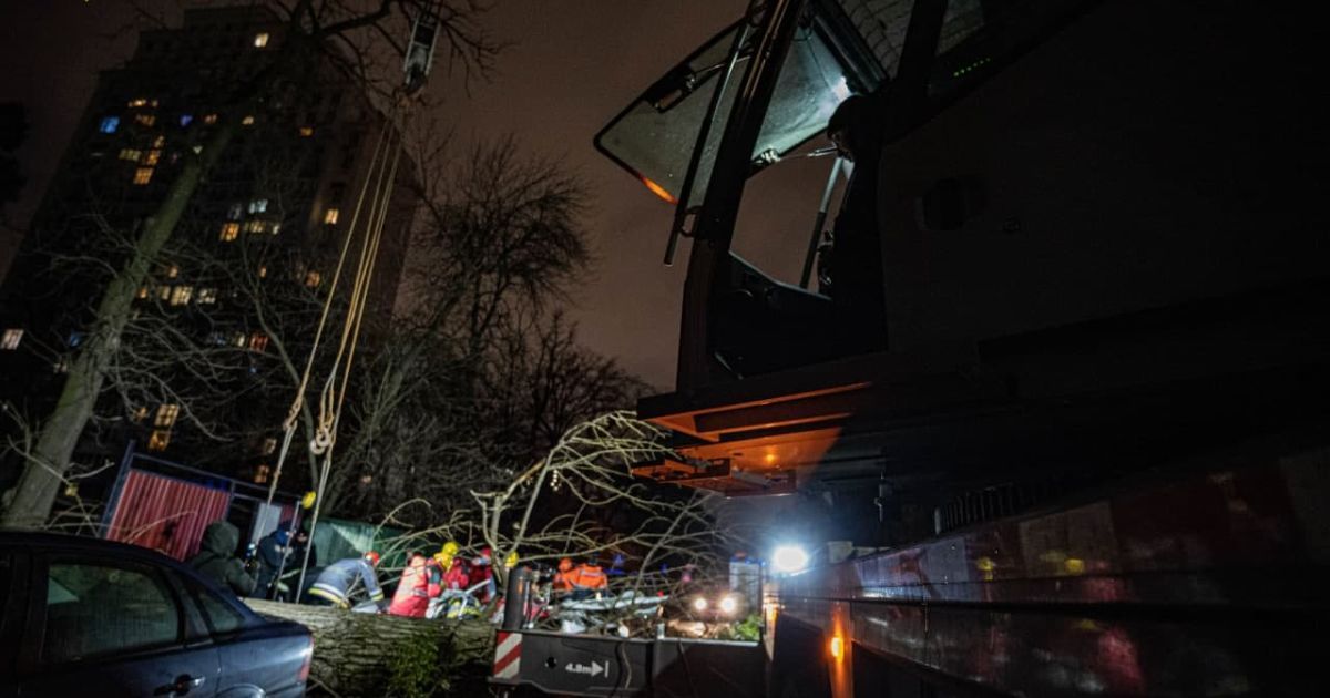 Дерево вбило чоловіка_5 / © ГУ ГСЧС в Киеве