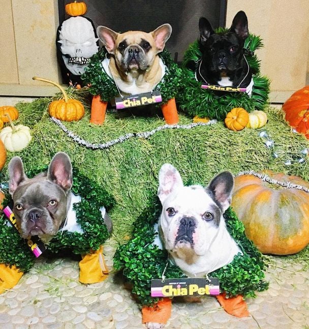  / © instagram.com/ladygaga