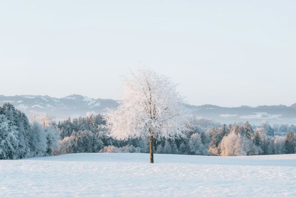 Народные приметы 15 января / © Unsplash