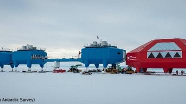 Британська наукова станція в Антарктиді_7 / © British Antarctic Survey / Facebook