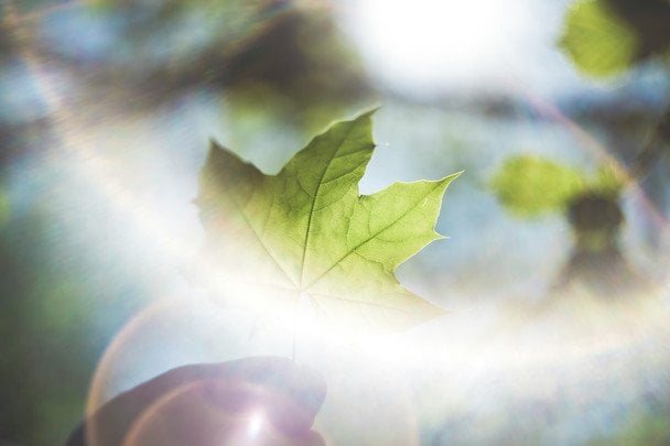 15 жовтня в Україні і світі святкують Всесвітній день гідності. / © unsplash.com
