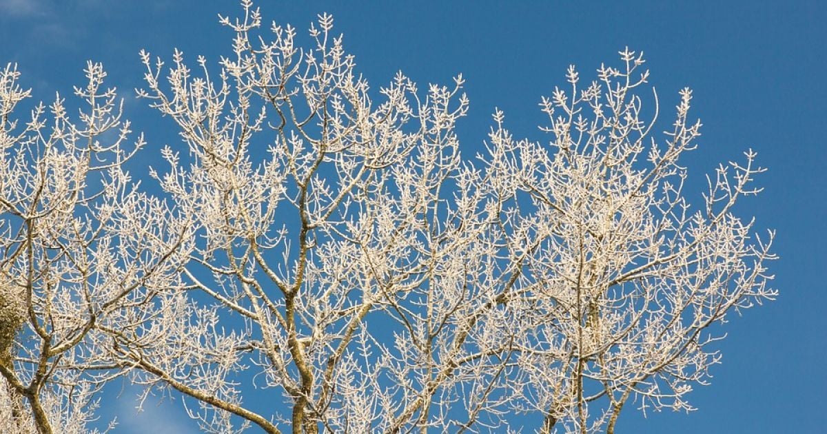 Синоптики обіцяють похолодання