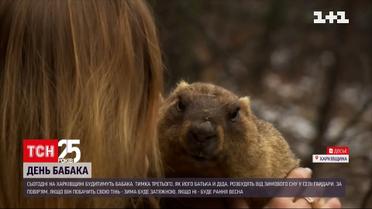 На биостанции университета Каразина будут будить сурка Тимку | Новости Украины