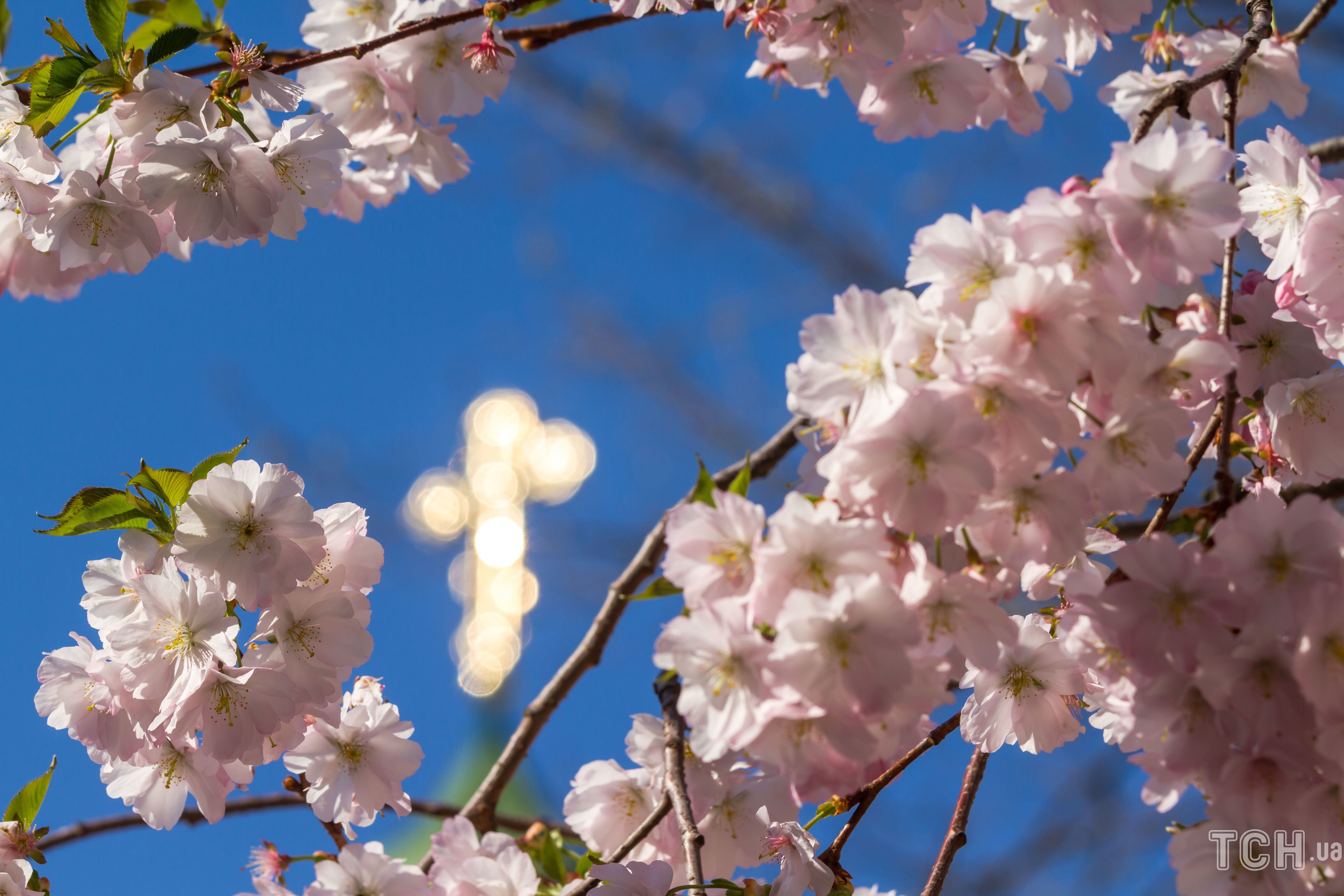 Мукачево / © Credits