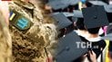 Мобилизация аспирантов