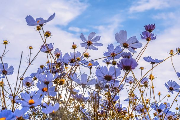 День ангела 24 квітня — душевні привітання в прозі і віршах / © Unsplash