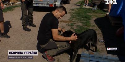 Замість спорту – волонтерство: поляк допомагає ЗСУ та рятує тварин