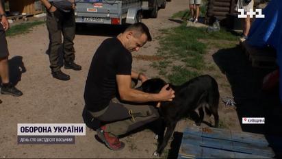 Замість спорту – волонтерство: поляк допомагає ЗСУ та рятує тварин
