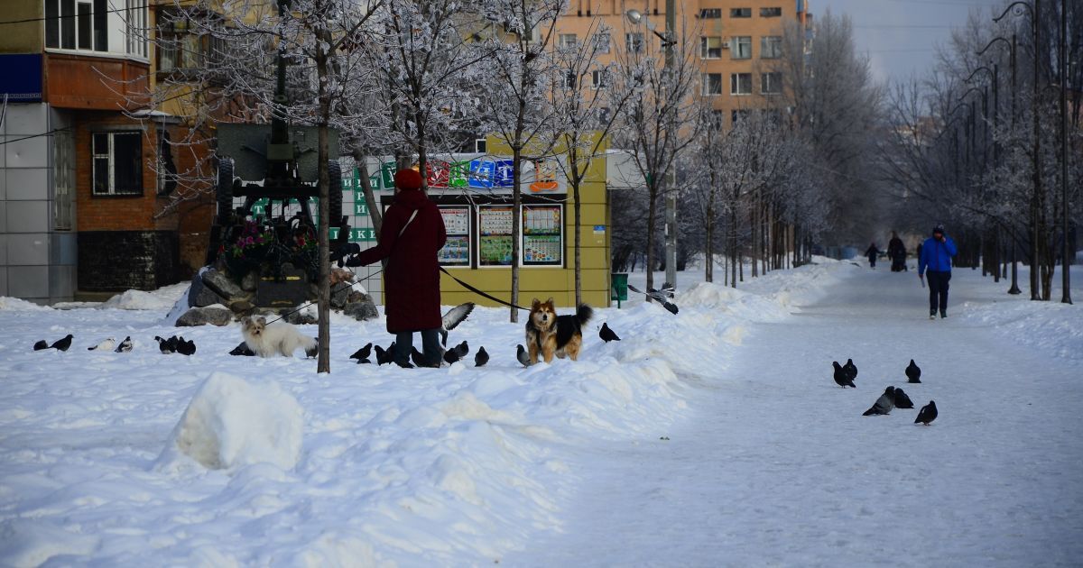 Морозы днем уступят место плюсовой температуре. Прогноз погоды на 15 февраля