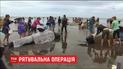 В Новій Зеландії із океану на берег викинулися чотири сотні китів