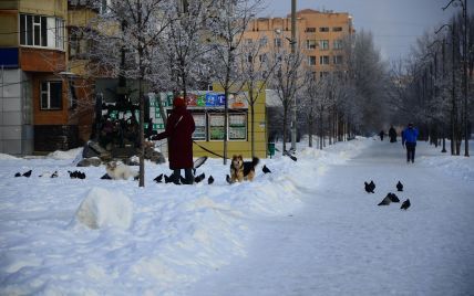 Погода в Васильево: архив погодных условий за 15 февраля года