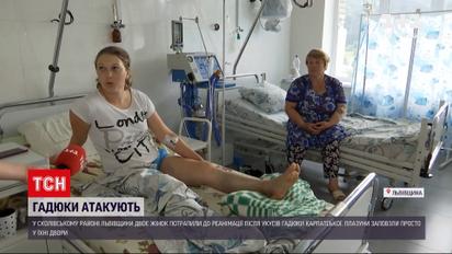 Новости Украины: женщин из Львовской области покусали змеи, против яда которых нет сыворотки