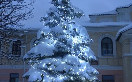 В Киеве открывают пункты сбора новогодних елок
