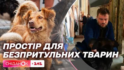 Єгор Гордєєв показав, як реабілітують врятованих з Херсонщини тварин у Patron Pets Center