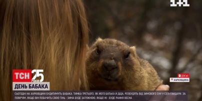 На біостанції університету Каразіна будитимуть бабака Тимка | Новини України