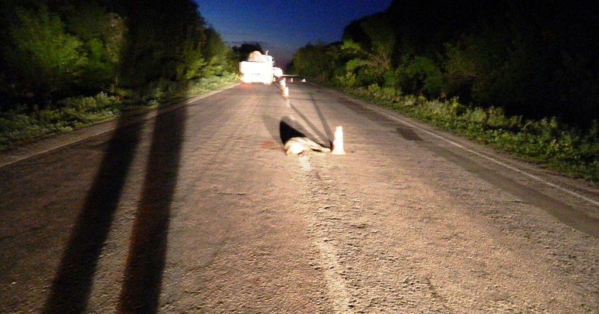 ДТП на Київщині_3 / © УНИАН