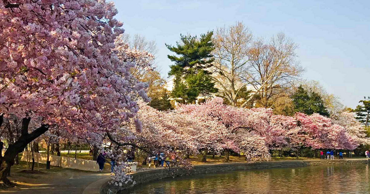 Купоны на скидку: яркий отдых в Украине