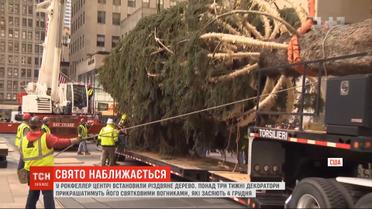 В Рокфеллеровском центре установили елку