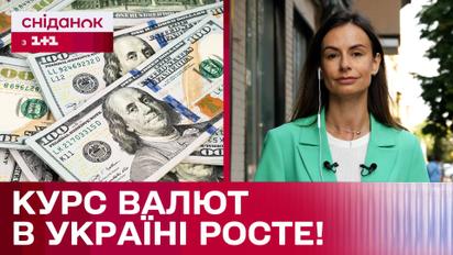 Доллар по 41, евро по 45! Будет ли расти курс валют в дальнейшем?