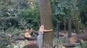 Жінка захищає дерево від вирубки. Фото: Женя Кулеба/Facebook