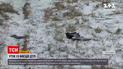 В Черниговской области врач сбил насмерть человека и скрылся с места происшествия