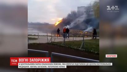 В запорожском парке стремительно вспыхнул пожар