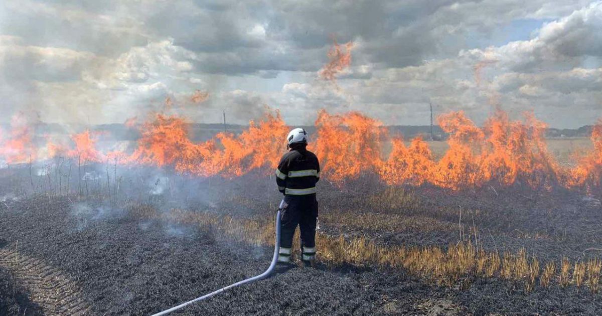У Хмельницькій області через падіння високовольтної лінії спалахнуло поле з пшеницею (фото, відео)