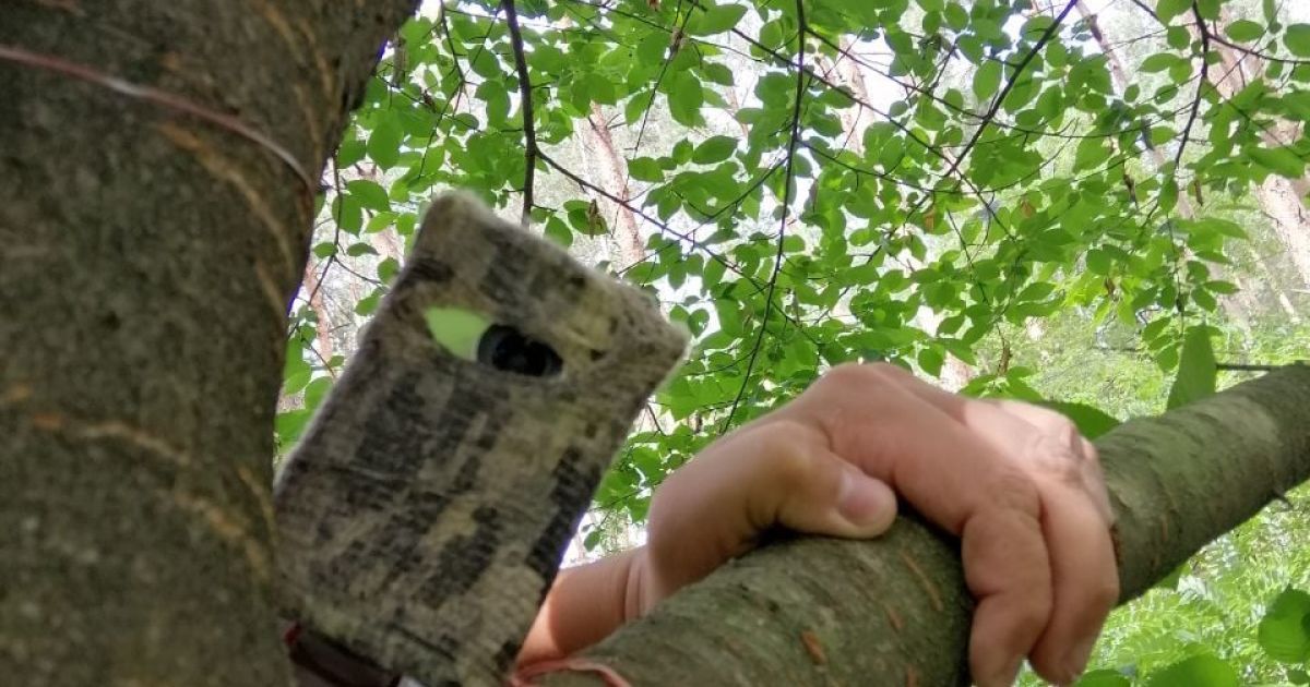 Під Києвом затримано банду нападників на суддів та силовиків