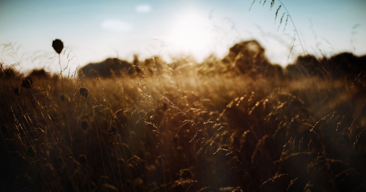 "Така кількість викидів буває тільки в Азії і Африці": Київ найближчими днями накриє смог