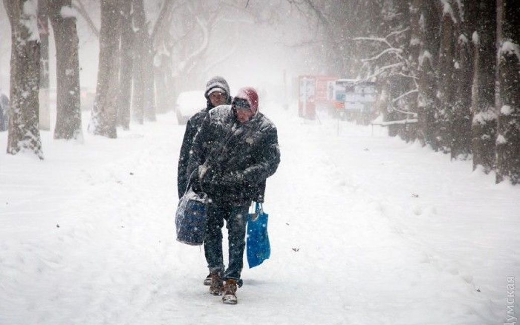 Одессу засыпает снегом / © Думская