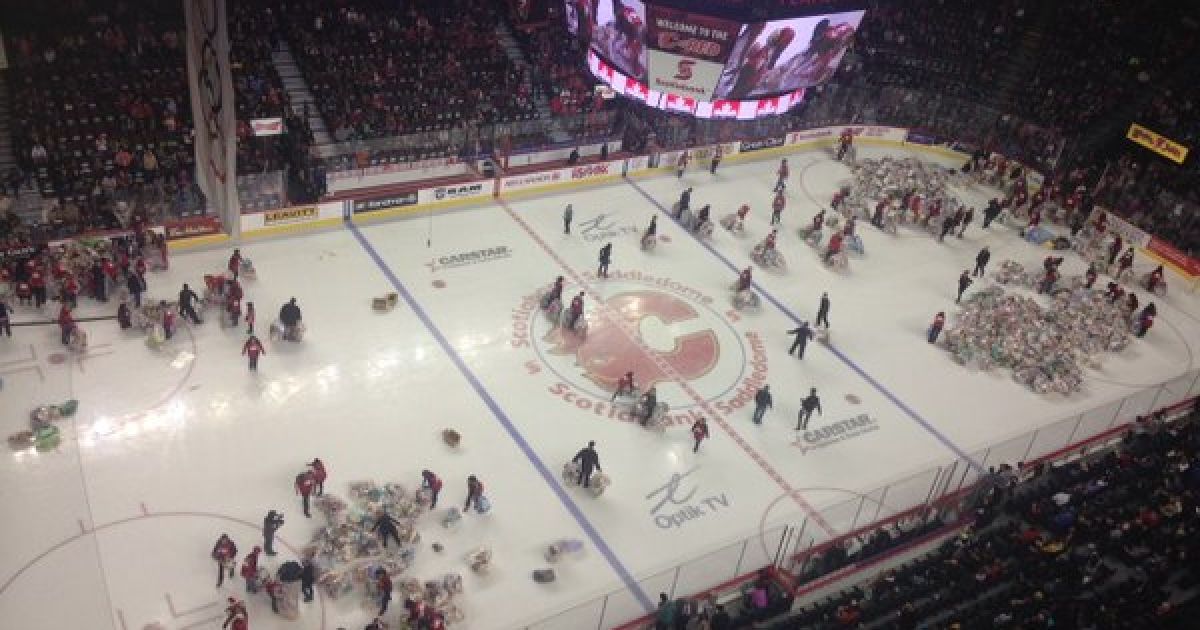 Teddy Bear Toss 2015 зібрав 28,815 тисяч плюшевих ведмедиків. / © twitter.com/WHLHitmen