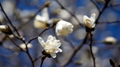 Три знака Зодиака, которым улыбнется удача в мае 2025 года