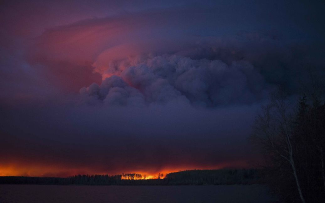 Огонь охватил тысячи гектаров / © Reuters