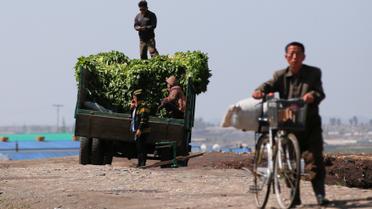 Життя в КНДР_6 / © Reuters