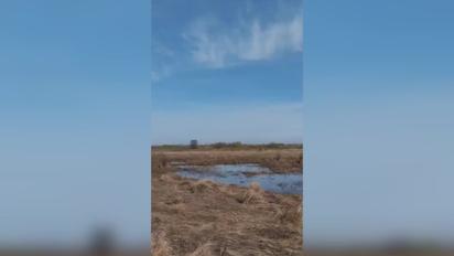 Беспилотники атаковали российскую РЛС "Контейнер" в Мордовии – видео