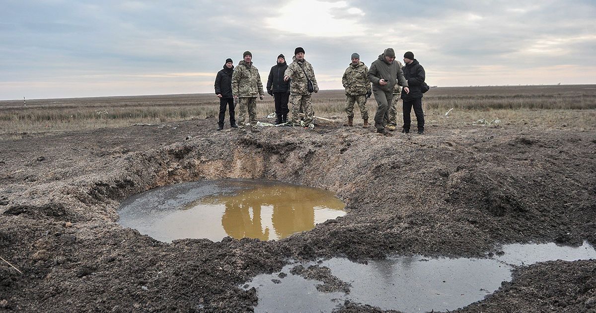 Вільха_6 / © turchynov.com