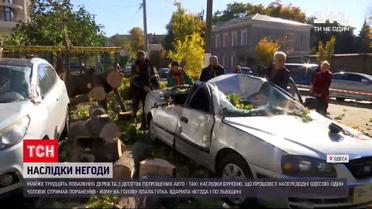 Новини України: на трасі Львів-Шегин вітер утворив піщану бурю