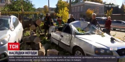 Новини України: на трасі Львів-Шегин вітер утворив піщану бурю
