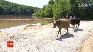 Жителі села Збаржівка скаржаться на погане самопочуття внаслідок отруєння хімікатами