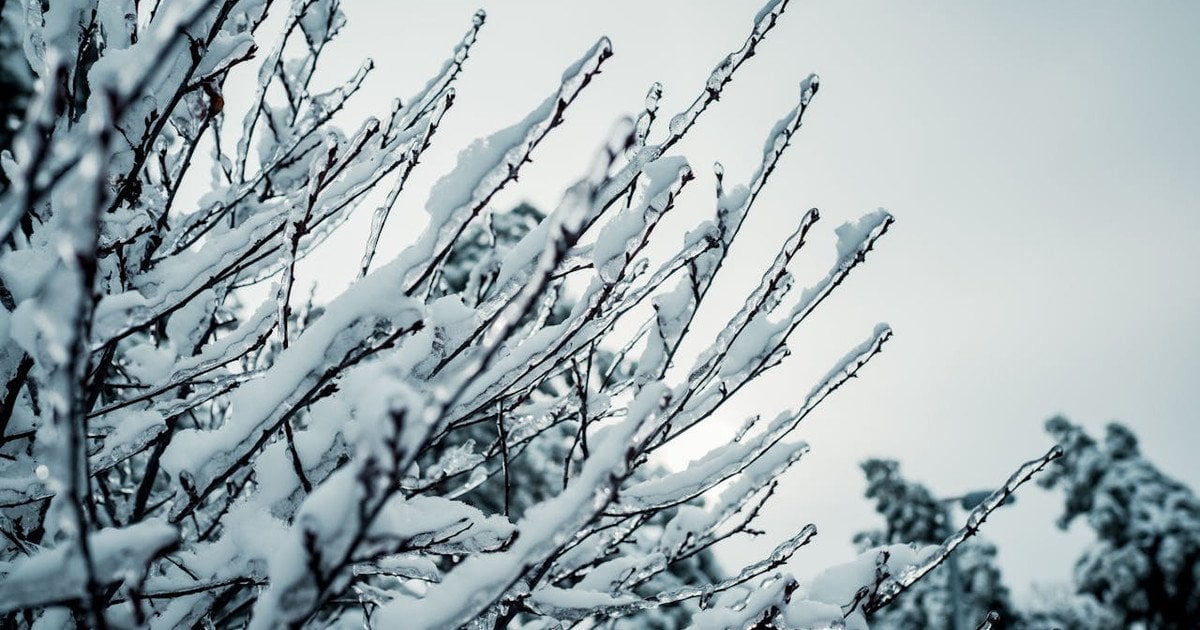 Морози повертаються