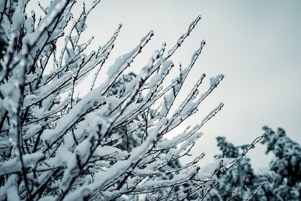 Народні прикмети 28 січня / © pexels.com